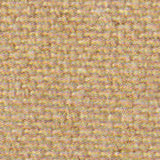 t7s4-cotton-club-sahara.jpg